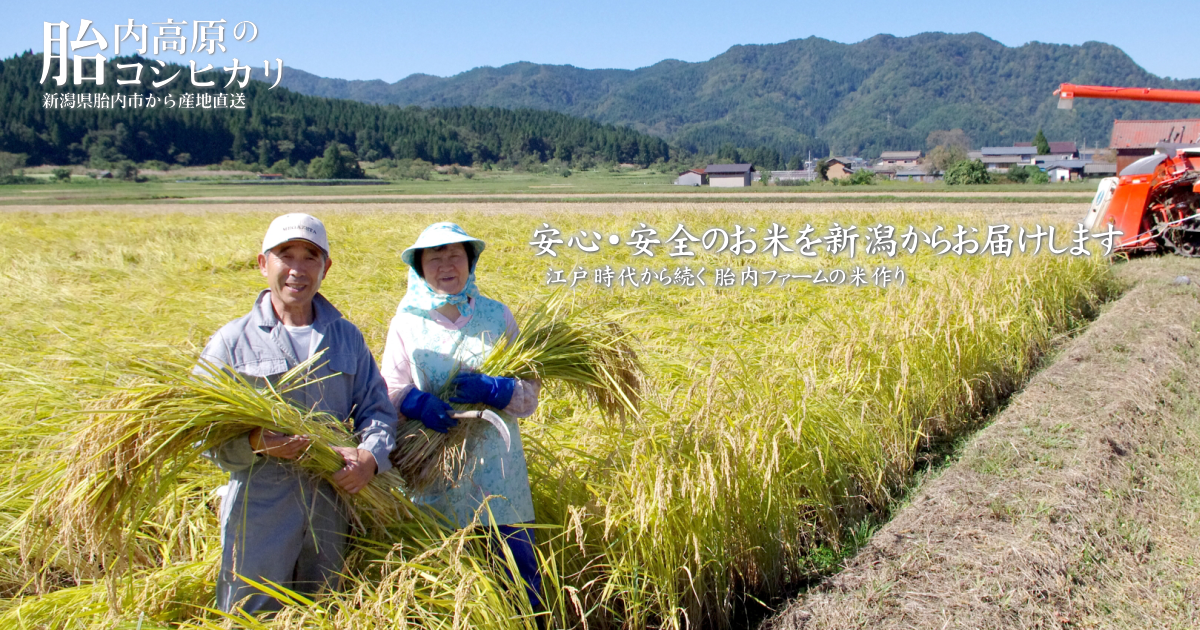 新潟県産コシヒカリ - 新潟県胎内市 胎内高原からコシヒカリを産地直送 胎内ファームがお届けいたします